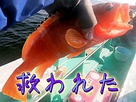 【動画】声で出演している梶原名人は実は憧れの人だったり