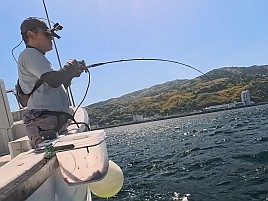 釣況悪いとは分かっていたが30カ月ぶりのカイワリボウズ!!!