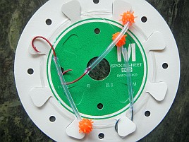 宇佐美の敵を稲取で討つ？　今週は昨年6月以来の中深場釣り