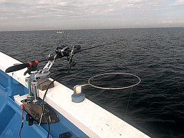 1投目でアカイサキ、2投目でマハタ…沖の瀬ウィリーすげぇ!!