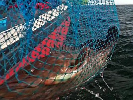 1投目でアカイサキ、2投目でマハタ…沖の瀬ウィリーすげぇ!!