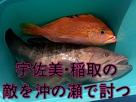 【動画】釣りの神様はごくたまにご褒美をくれるからずるい