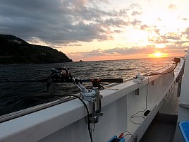 アカムツと宝くじはあたらないから夢がある？ またもチーン