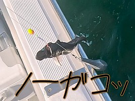 【動画】うん、釣りは釣果じゃないね!!　負け惜しみだけど