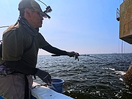 バラシまくって悶絶するもLTアジと和彦丸は裏切らず41匹!!