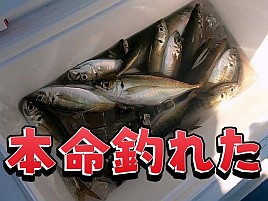 【動画】本命は釣れたがツイてない継続 中？ 厄落し成功？