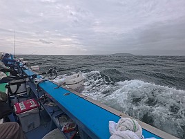洲崎沖は聞いてないよ～な時化と速潮でイサキ釣れずチーン
