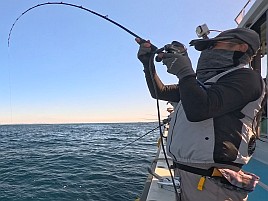 1投目で呆気なく極鋭MGオニカサゴ入魂成功。でもそれっきり