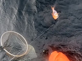 張りながら伸ばすに苦戦し新島旨キンメは7匹でそれなり!?