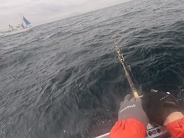 新島旨キンメの千里の道も一歩からにして五里霧中な備忘録