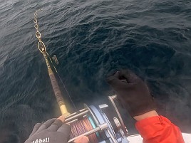 新島旨キンメの千里の道も一歩からにして五里霧中な備忘録
