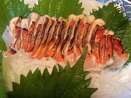 新島旨キンメに間違いなし!! 伊豆の生わさびはギャンブル!? 