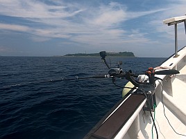 初島沖イサキ入れパク♪ カイワリは渋めながらも型良し5匹