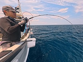 初島沖イサキ入れパク♪ カイワリは渋めながらも型良し5匹