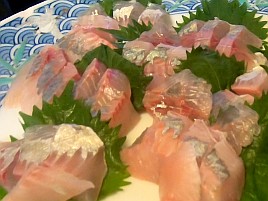 カイワリ刺はやはり最高♪ イサキ刺もたまに食うとまずまず