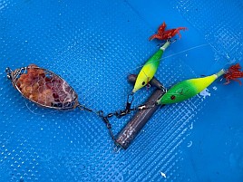 船タコで実績があるらしい「ミックスホルモン」気になるぞ！