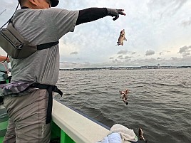 いきなりトリプル!! 夜メバルなのに陽が落ちると尻すぼみｗ