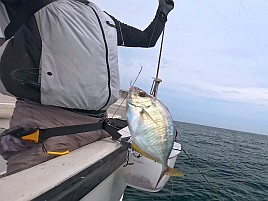 イサキ5匹とカイワリ4匹…初島沖なのになんか調子悪かった
