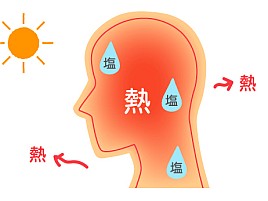 暑気あたりで今週は釣り回避。夏はショートか半日船にする