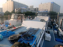 竿も仕掛けも完全豚アジ仕様なのに釣り人が未対応で撃沈だ