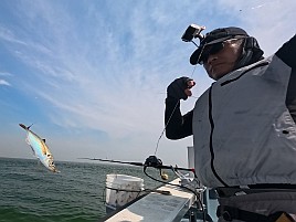竿も仕掛けも完全豚アジ仕様なのに釣り人が未対応で撃沈だ