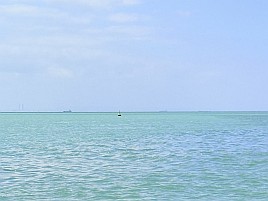 ダメだ～、酷暑に対応できておらずマジで体調が…ヤヴァい