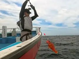 城ヶ島沖アカハタで掛からん病に悩まされるも自己最大更新