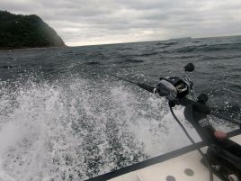 カイワリは厳しいながらもボウズ回避。船長頑張り秋の五目♪