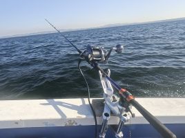 汗かきべベソかき誘ったけどね…城ヶ島アカムツノーガコッ